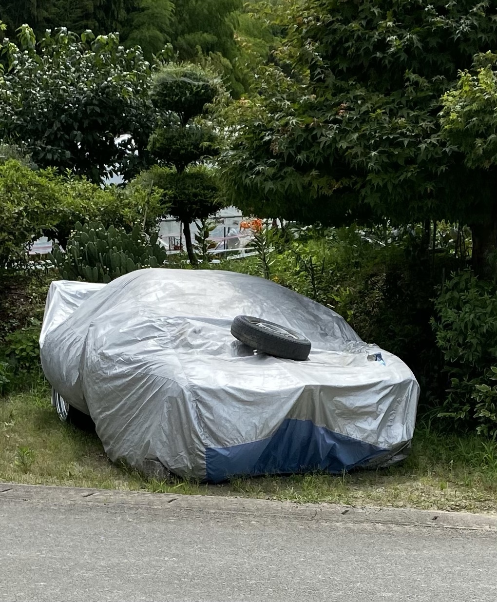 Rx 7 Fd3s ブロー ついに来た オーバーホールの件 費用など仕様は けん97ブログ Rx 7 Fd3s ブロー ついに来た オーバーホールの件 費用など仕様は けん97ブログ